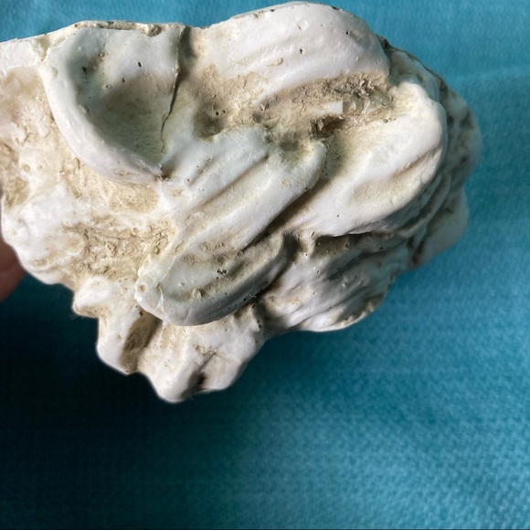 Hem Feathers Rustic Hand Cast Cherub Face Wall Decor - Picture 4 of 4